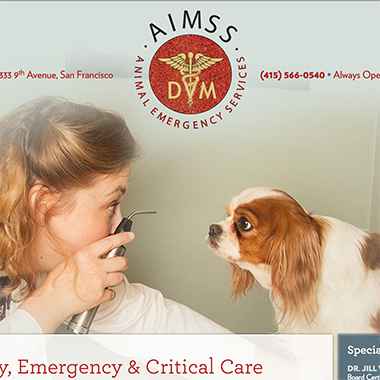 Animal Internal Medicine and Specialty Services