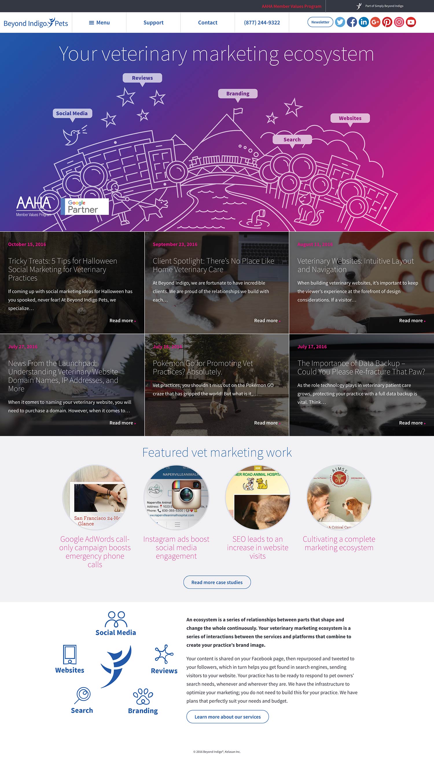 Full Beyond Indigo Pets home page